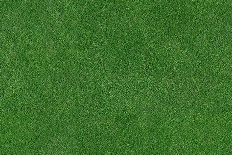 400,000+ Free Grass Background & Grass Images .